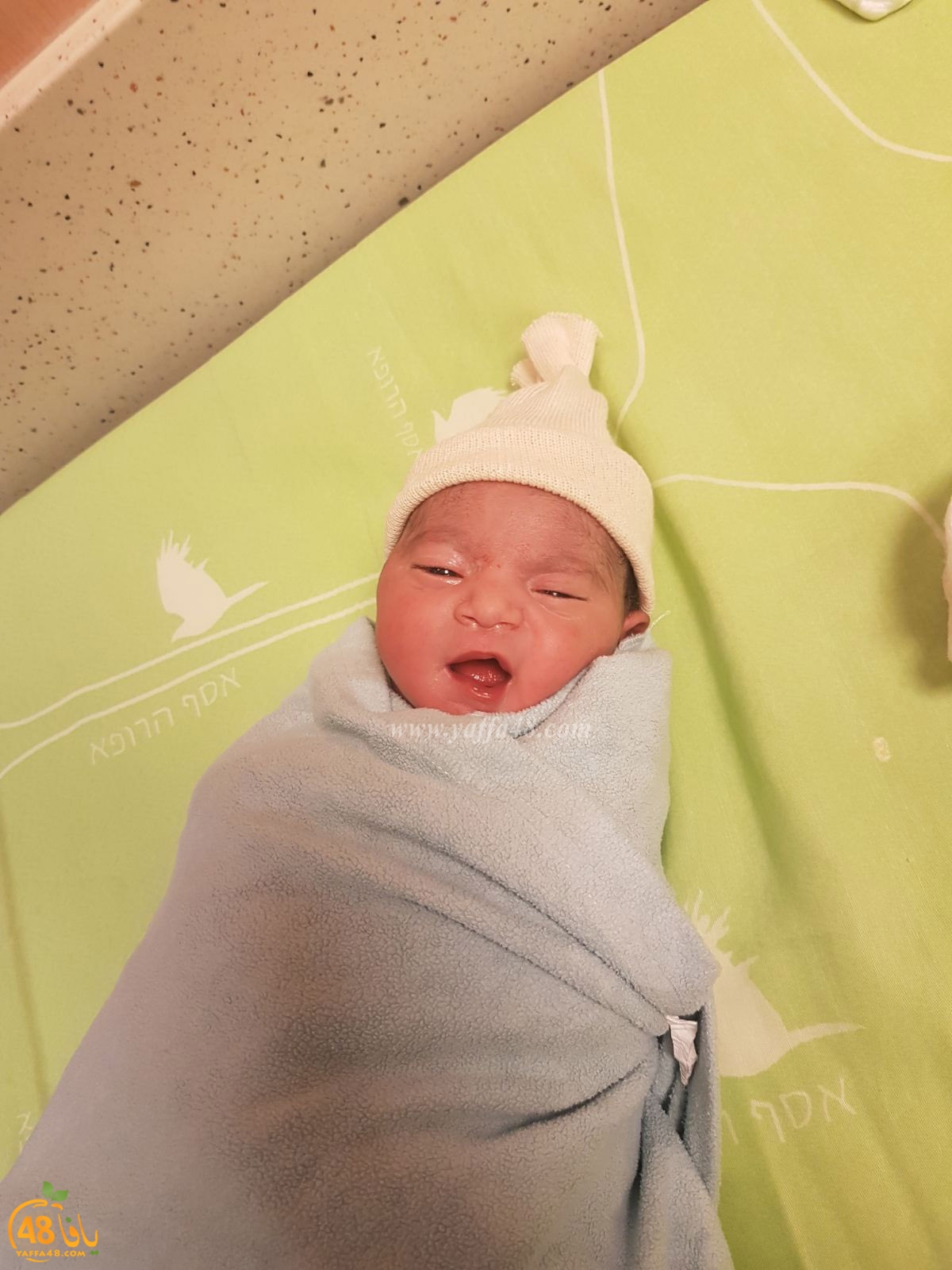 abo ganem mawlod3 (2).jpg